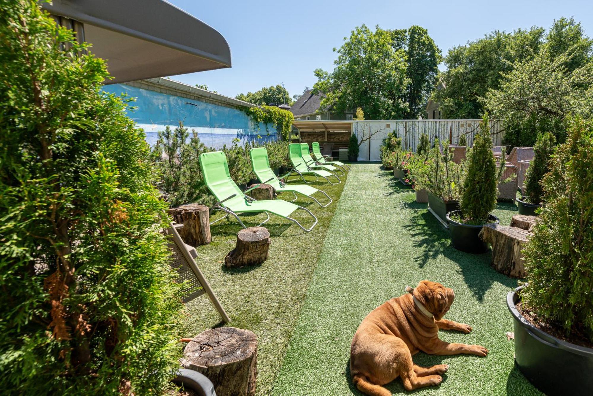 Garden Camping Reval Exterior foto